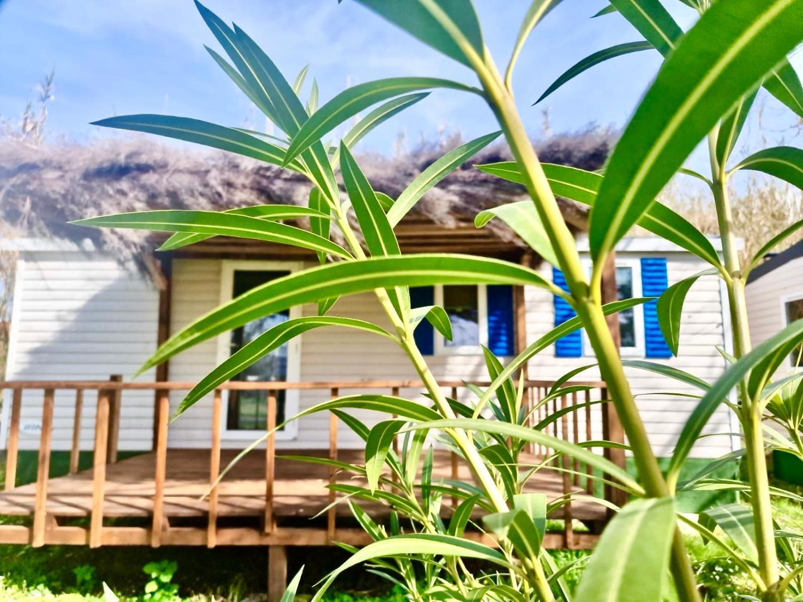 International Glamping Lago Di Bracciano Trevignano Romano Exterior photo