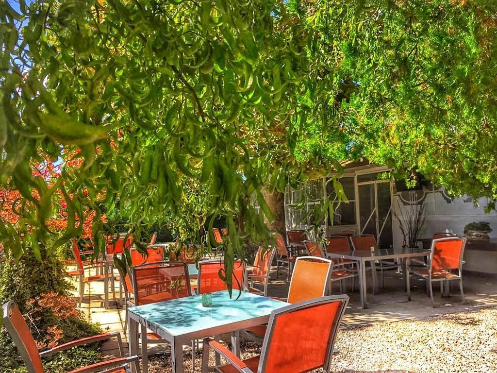 International Glamping Lago Di Bracciano Trevignano Romano Exterior photo